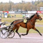 Det blir finskt deltagande i Elitloppet 2019 Det blir finskt deltagande i Elitloppet 2019