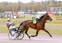 Det blir finskt deltagande i Elitloppet 2019 Det blir finskt deltagande i Elitloppet 2019