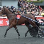 Det norska hoppet lever inför Elitloppet Det norska hoppet lever inför Elitloppet