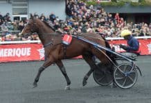 Det norska hoppet lever inför Elitloppet Det norska hoppet lever inför Elitloppet