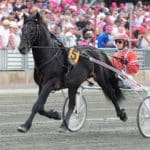 Inför V75 Söndag: Elitkampen på Solvalla