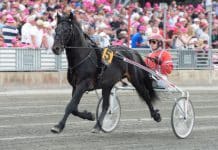 Elitloppshelgen blir en stor profil fattigare Elitloppshelgen blir en stor profil fattigare