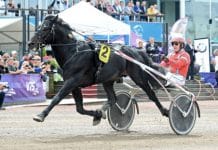 Inför V86: Han jagar sin nionde raka seger Han jagar sin nionde raka seger