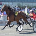 Inför V86: Har Fredrik Linder en Derbyhäst? Har Fredrik Linder en Derbyhäst?