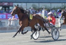Inför V86: Har Fredrik Linder en Derbyhäst? Har Fredrik Linder en Derbyhäst?