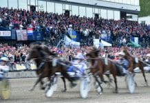 Högre odds på Elitloppsvinnaren Elitloppet 2019