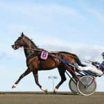 Joakim Lövgren inför V75 Charlottenlund Joakim Lövgren