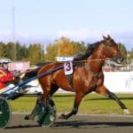 Lottat och klart till Elitloppet 2019 Lottat och klart till Elitloppet 2019
