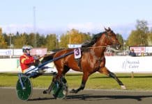 Lottat och klart till Elitloppet 2019 Lottat och klart till Elitloppet 2019