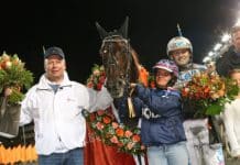 Inför Elitloppet 2019: Makethemark blev den åttonde hästen Makethemark blev den åttonde hästen