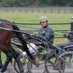 Osterc kastar sig rakt ut i hetluften Osterc kastar sig rakt ut i hetluften
