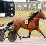 Presentation Elitloppet 2019 försök 1 Presentation Elitloppet 2019 försök 1