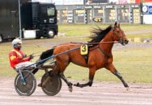 Presentation Elitloppet 2019 försök 1 Presentation Elitloppet 2019 försök 1
