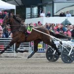 Presentation Elitloppet 2019 försök 2 Presentation Elitloppet 2019 försök 2