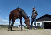 På söndag blir Daniel Redén den förste att starta fyra hästar i Elitloppet På söndag blir Daniel Redén den förste att starta fyra hästar i Elitloppet