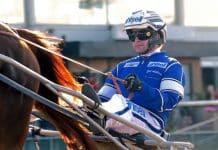 Ska Erik Adielsson ta sin första elitloppsseger? Ska Erik Adielsson ta sin första elitloppsseger