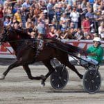 Stjärnhästen byter tränare Stjärnhästen byter tränare