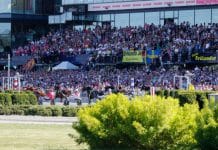 Vad kan du om Elitloppet? elitloppsquiz