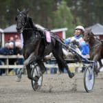 Inför V75: Hästen har aldrig varit sämre än tvåa Hästen har aldrig varit sämre än tvåa