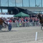 Inför V75: Magnus Träff jagar en ny storloppstitel Magnus Träff jagar en ny storloppstitel