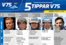 Fem tippar V75 till Boden Lördag 15 juni 2019 Fem tippar V75 till Boden Lördag 15 juni 2019