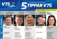 Fem tippar V75 till Eskilstuna Lördag 29 juni 2019 Fem tippar V75 till Eskilstuna Lördag 29 juni 2019