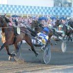 Flerfaldig V75-vinnare död Flerfaldig V75-vinnare död