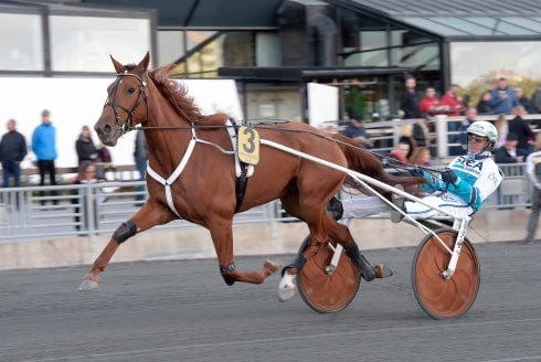 Inför Stochampionatet: "Hon kan inte kännas bättre än hon gör"