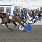 Inför V75: Magnus A Djuse tror på toppchans Magnus A Djuse tror på toppchans