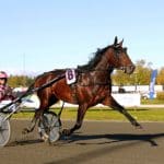 Inför V75: Robert Bergh låter påställd Robert Bergh låter påställd