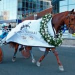 Rödluvan storfavorit inför Stochampionatet Rödluvan storfavorit inför Stochampionatet