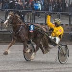 Sargat Östersund redo för derbyuttagningar Sargat Östersund redo för derbyuttagningar