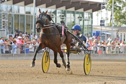 V75 resultat och eftersnack Axevalla 20 juli 2019