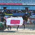 Ytterligare fyra hästar är klara för Hugo Åbergs Memorial Ytterligare fyra hästar är klara för Hugo Åbergs Memorial