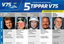 Fem tippar V75 till Halmstad Lördag 6 juli 2019 Fem tippar V75 till Halmstad Lördag 6 juli 2019