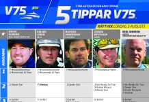 Fem tippar V75 till Rättvik Lördag 3 augusti 2019 Fem tippar V75 till Rättvik Lördag 3 augusti 2019