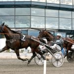 Årets upplaga av Margaretas Tidiga Unghästserie Årets upplaga av Margaretas Tidiga Unghästserie