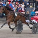 Inför V75 Bjerke: Captain Morgan och Abrakadabra Captain Morgan och Abrakadabra