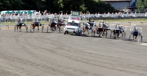 En vinklad startbilsvinge