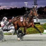 Muscle Hustle återvänder till USA Muscle Hustle återvänder till USA