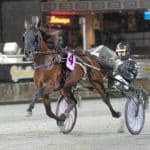 Inför V75: Nu hoppas tränaren på revansch Nu hoppas tränaren på revansch
