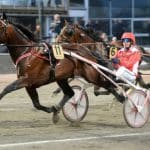 Inför V75 onsdag: Nu är Campo Bahia tillbaka Nu är Campo Bahia tillbaka