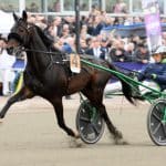 Inför V75 JACKPOT: Siktar på att leda runt om Siktar på att leda runt om