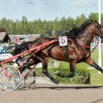 Inför V75 Onsdag: Snackhästen hör hemma i Derbyt enligt Walmann Snackhästen hör hemma i Derbyt enligt Walmann