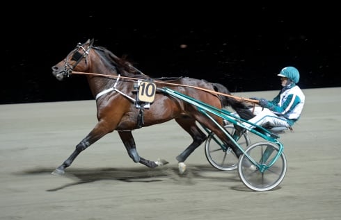 Who’s Who - den perfekta Menhammar-mixen