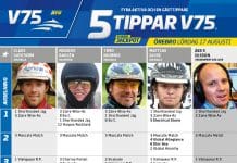 Fem tippar V75 till Örebro 17 augusti 2019 – Dubbeljackpot Fem tippar V75 till Örebro 17 augusti 2019 - Dubbeljackpot