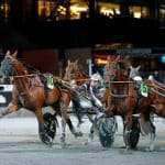 Inför V75 Söndag: Adrian Kolgjini valde innerspåret Adrian Kolgjini valde innerspåret