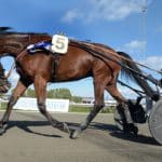 Dante Boko tackar för sig Dante Boko tackar för sig