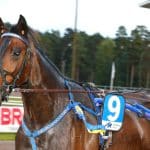Frank Widerström inför V86-tävlingarna på Åby Frank Widerström inför V86-tävlingarna på Åby