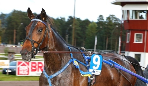 Frank Widerström inför V86-tävlingarna på Åby